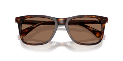 POLO PH4220U 613773 55