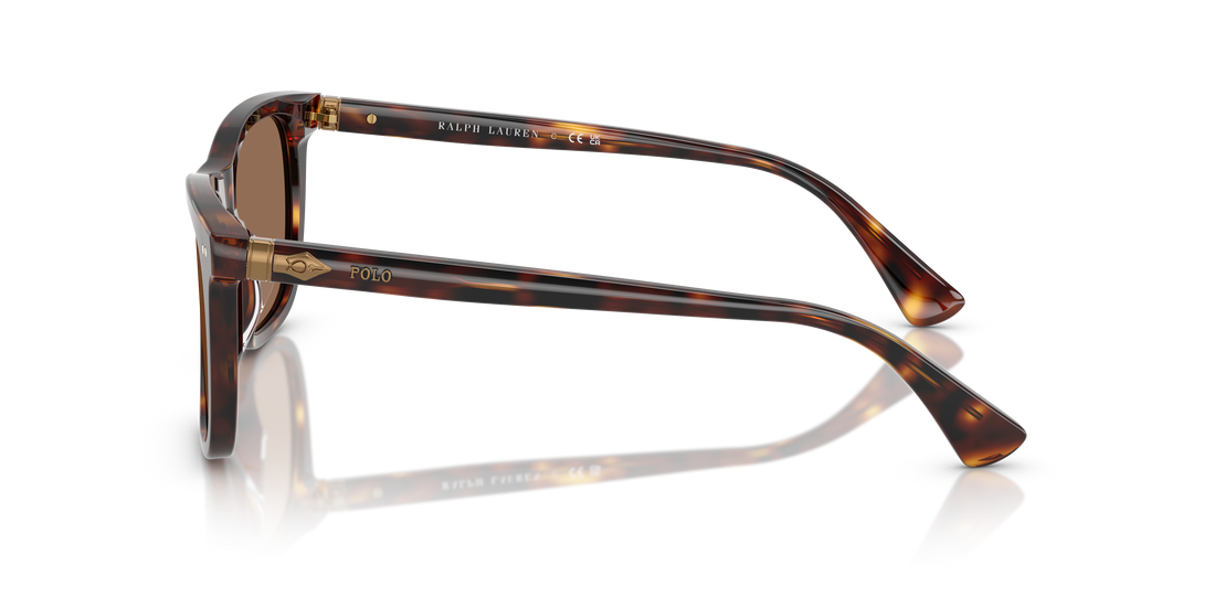 POLO PH4220U 613773 55