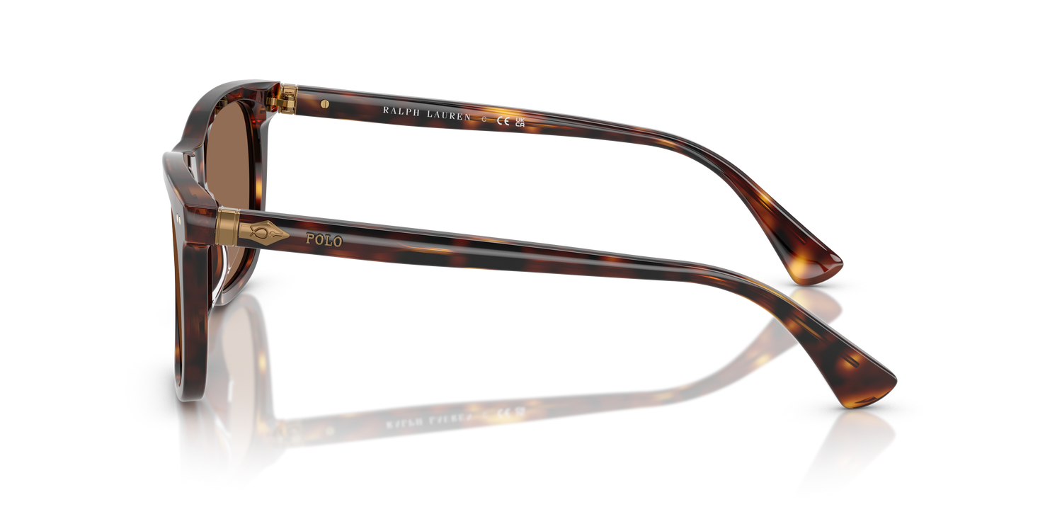 POLO PH4220U 613773 55