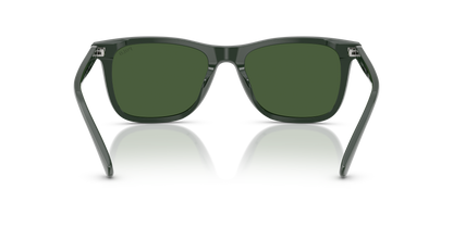 POLO PH4220U 614071 55