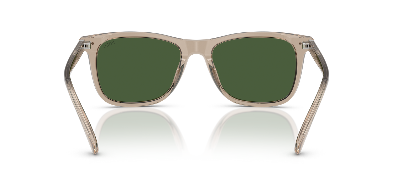 POLO PH4220U 620171 55