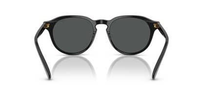 POLO PH4221 500187 52