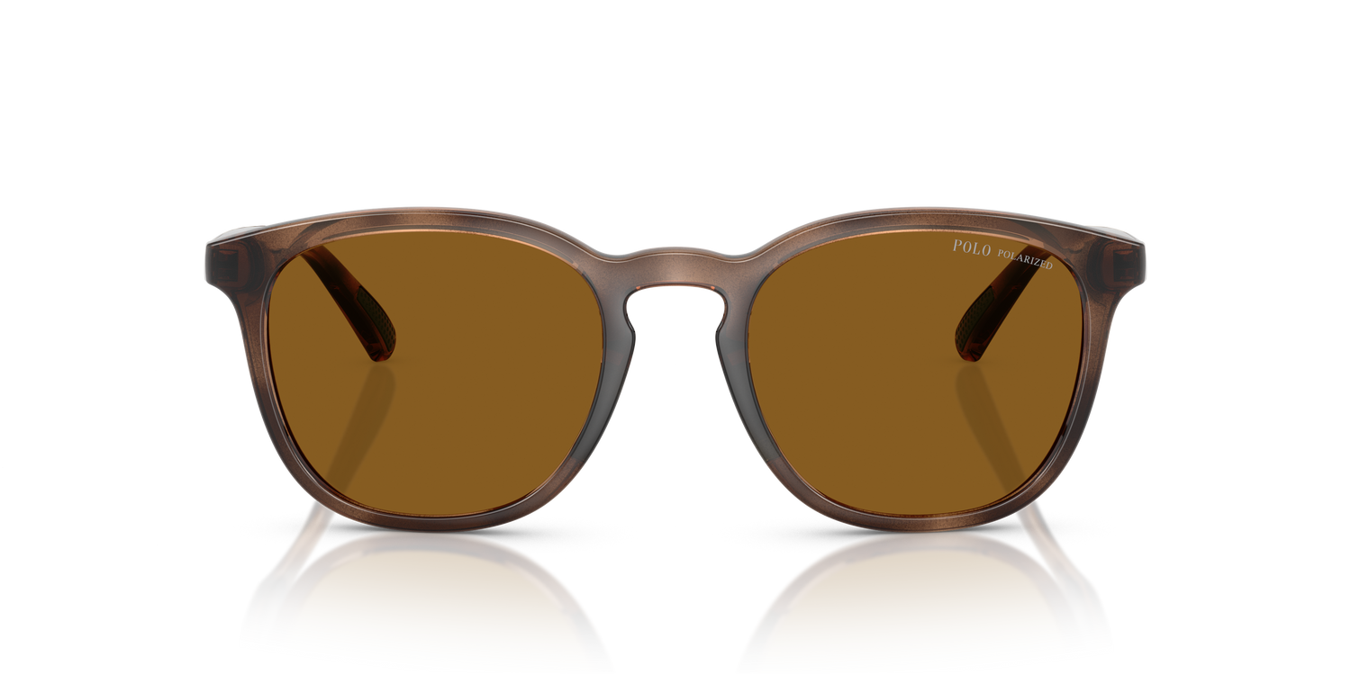 POLO PH4222U 500383 52