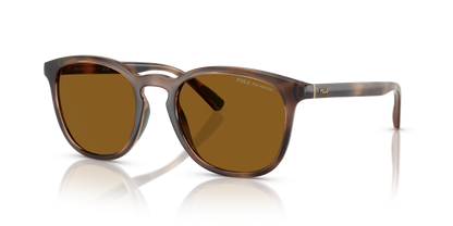 POLO PH4222U 500383 52