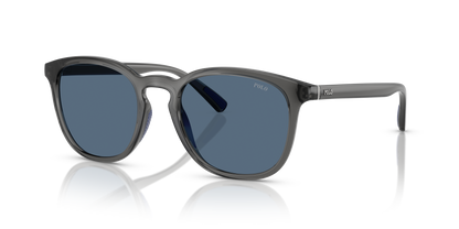 POLO PH4222U 579980 52