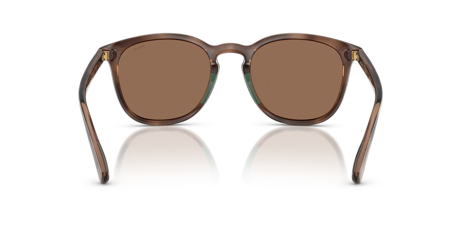 POLO PH4222U 597473 52