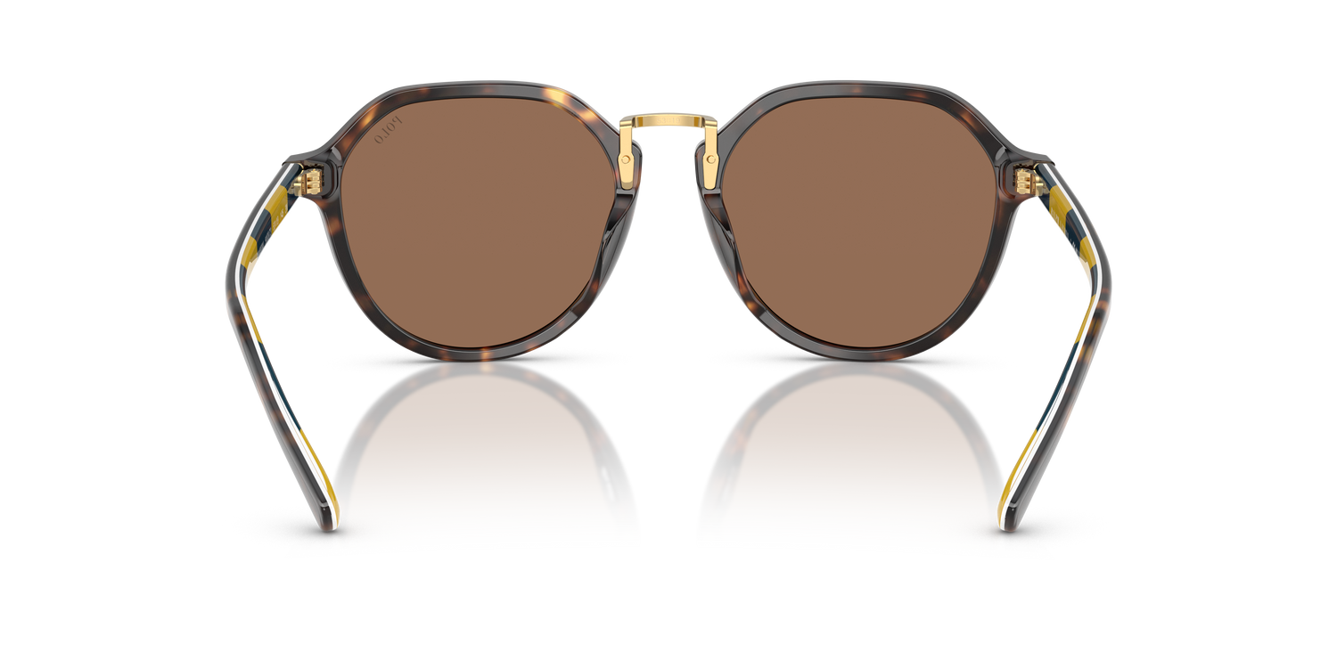 POLO PH4223U 500373 53