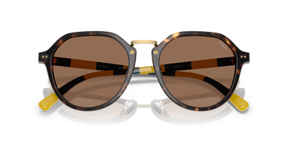 POLO PH4223U 500373 53