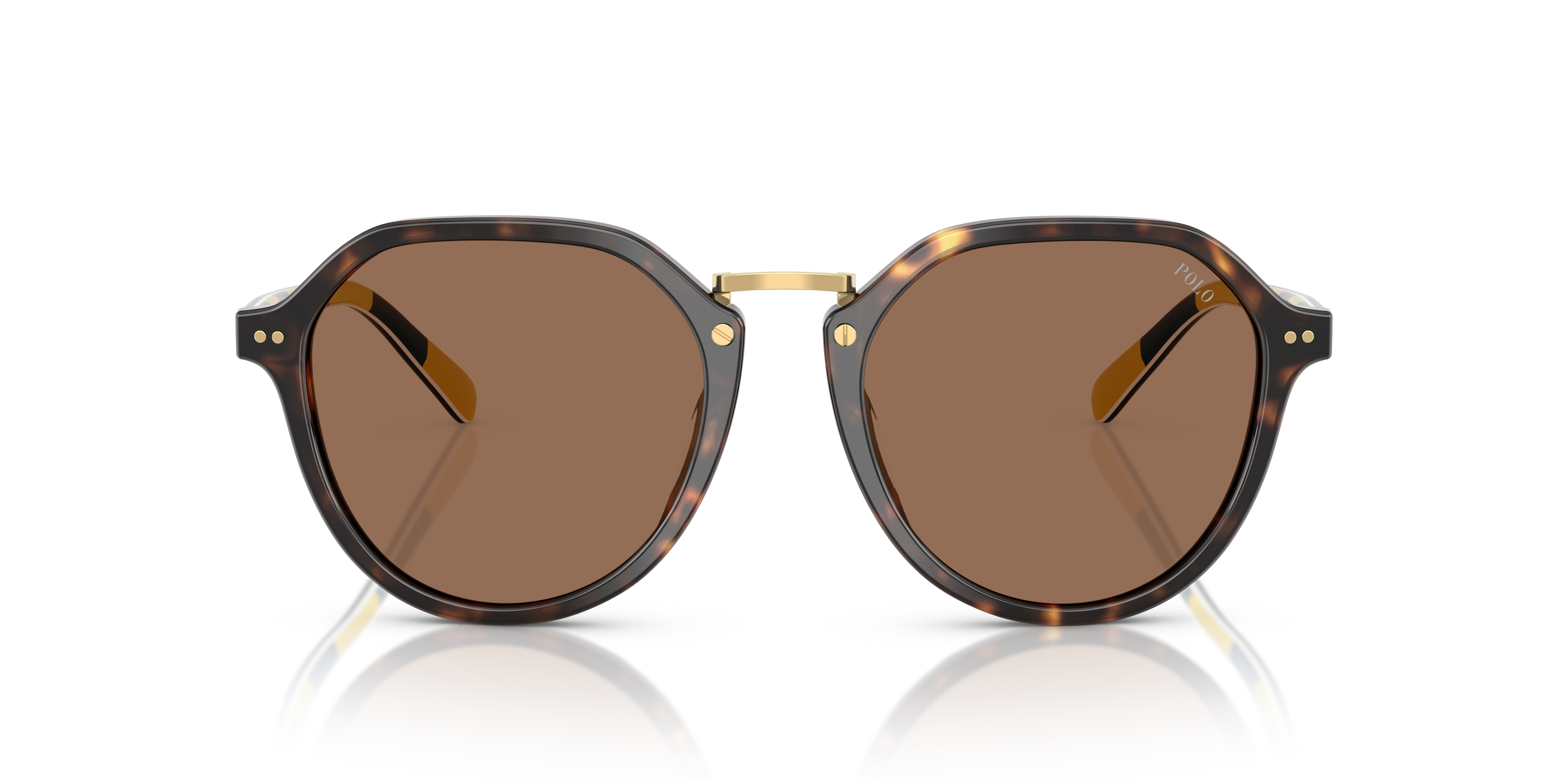 POLO PH4223U 500373 53