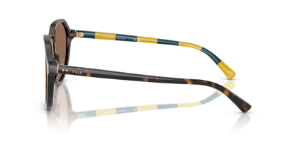 POLO PH4223U 500373 53