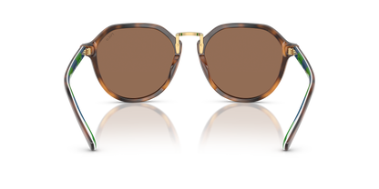 POLO PH4223U 608973 53