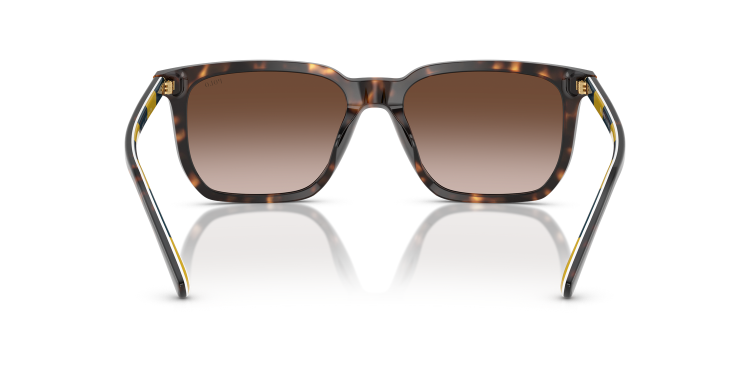 POLO PH4224U 500313 55