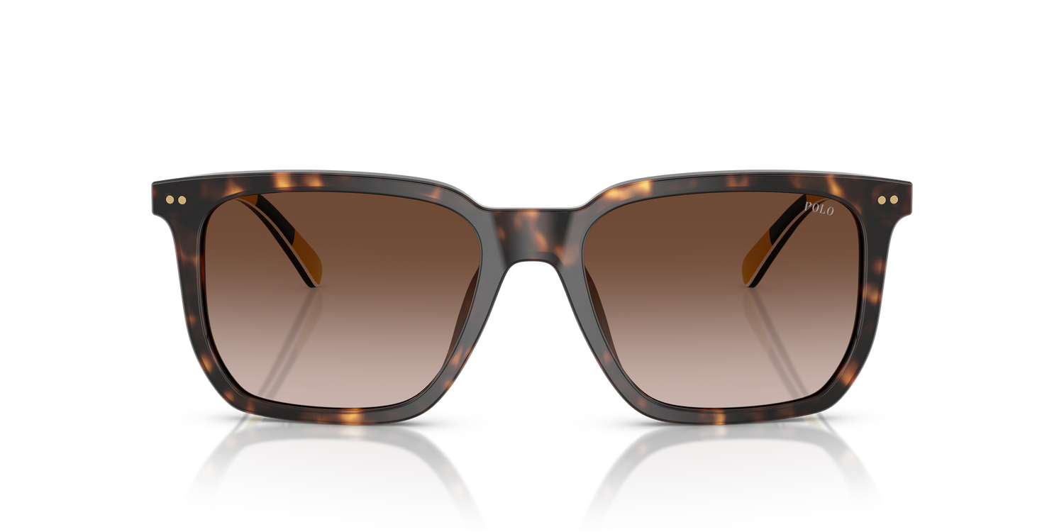 POLO PH4224U 500313 55