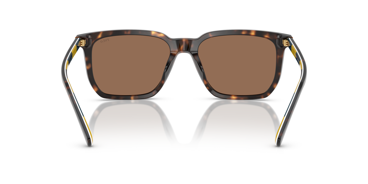 POLO PH4224U 500373 55