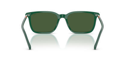 POLO PH4226 542171 56