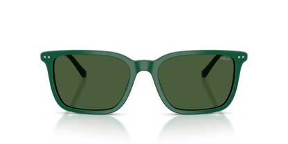 POLO PH4226 542171 56