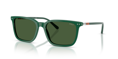 POLO PH4226 542171 56