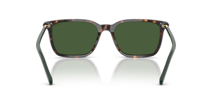 POLO PH4226 567371 56