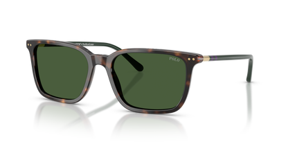 POLO PH4226 567371 56