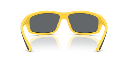 POLO PH4227U 51076G 66