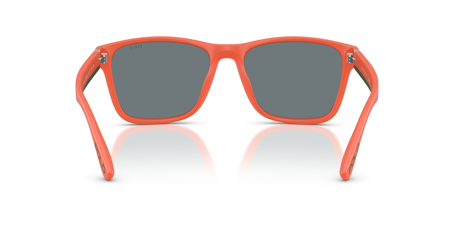 POLO PH4229U 54606G 56