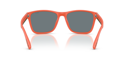 POLO PH4229U 54606G 56