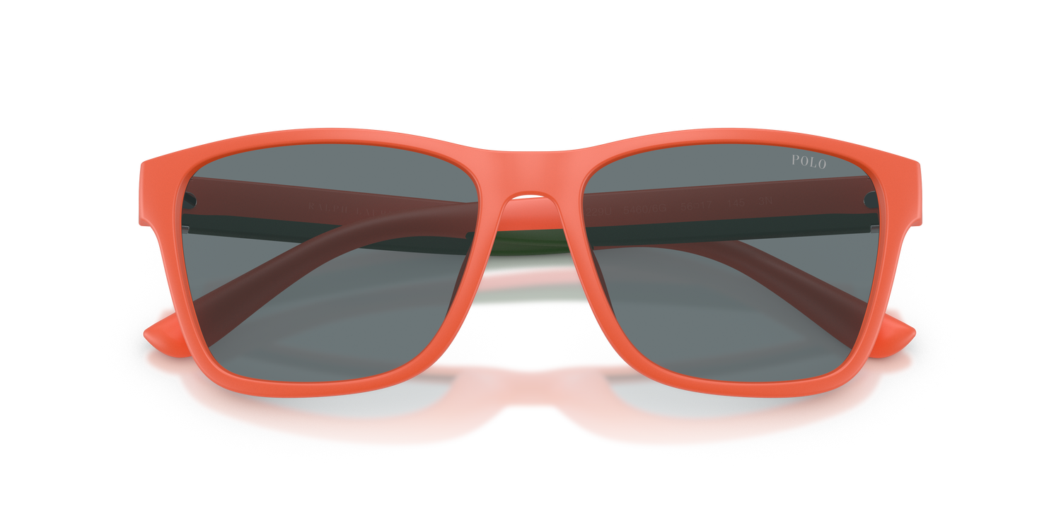 POLO PH4229U 54606G 56