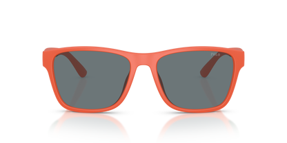 POLO PH4229U 54606G 56