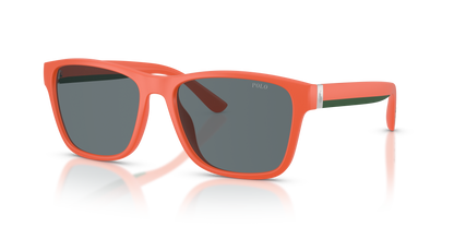 POLO PH4229U 54606G 56