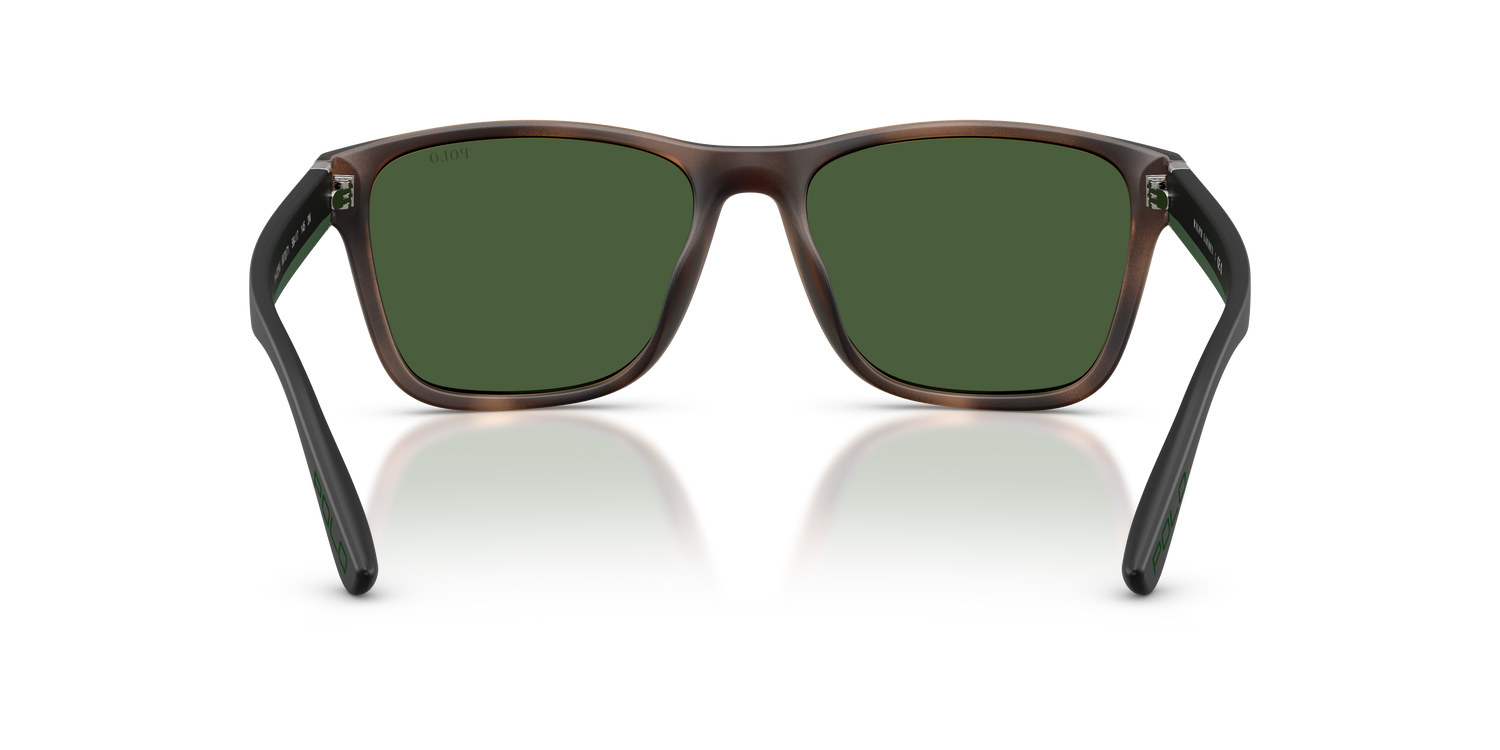 POLO PH4229U 607071 56