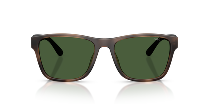 POLO PH4229U 607071 56