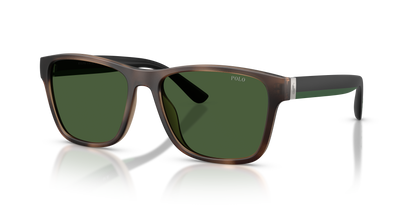 POLO PH4229U 607071 56