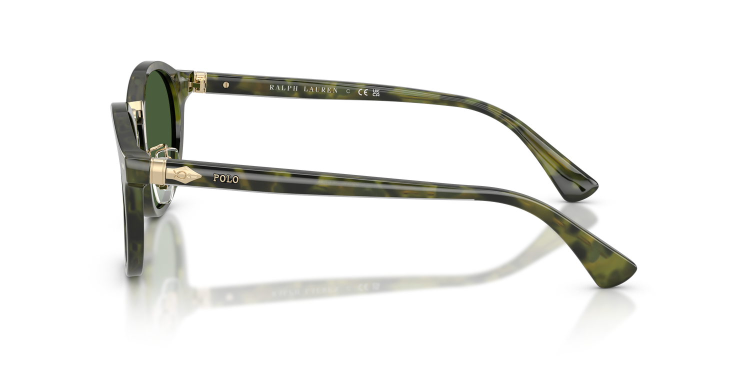 POLO PH4230 543671 50