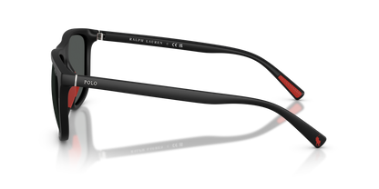 POLO PH4231U 550487 57