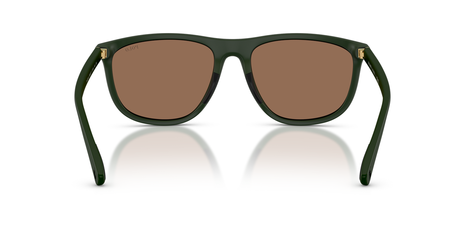 POLO PH4231U 559673 57