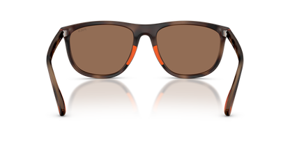 POLO PH4231U 597473 57