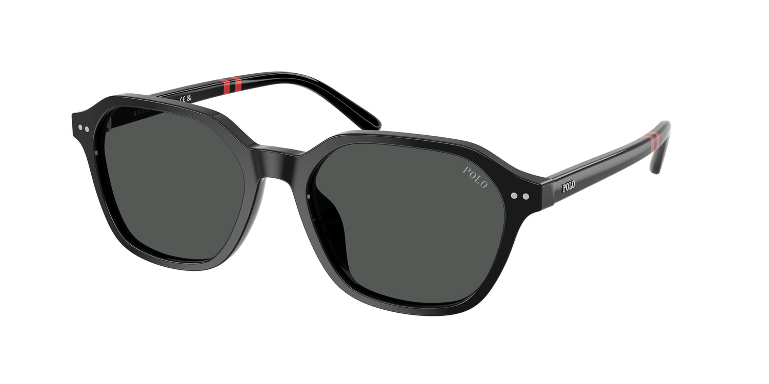 POLO PH4234U 500187 54