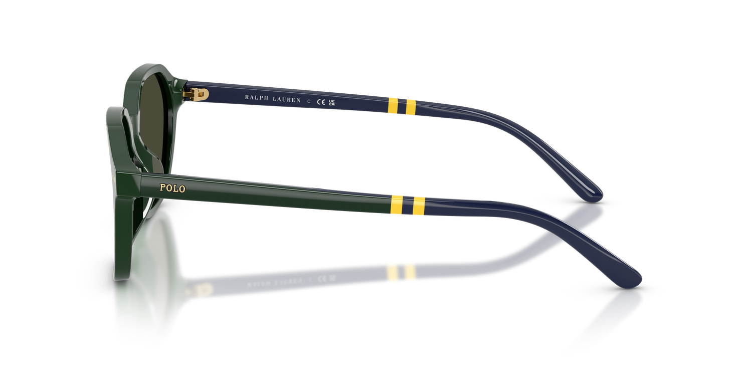 POLO PH4234U 614082 54