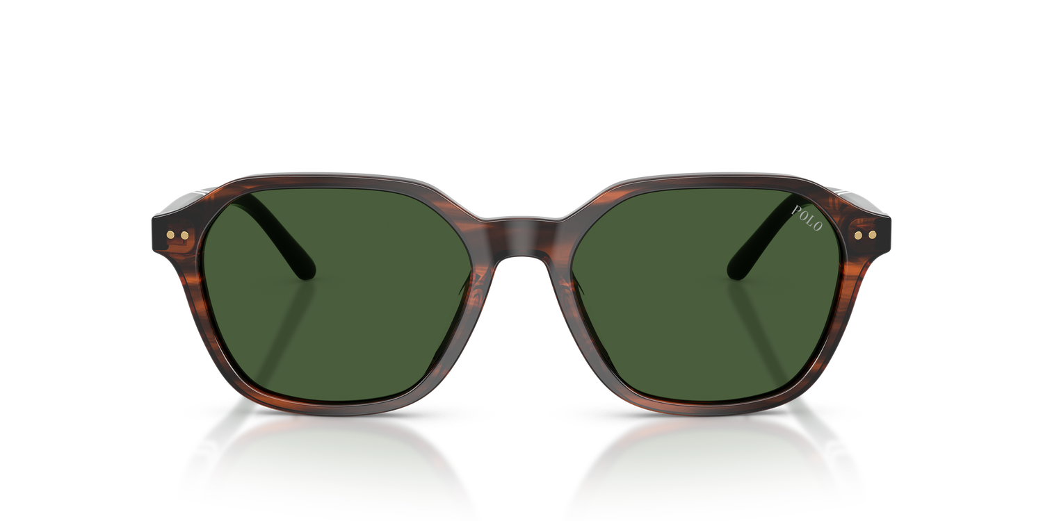 POLO PH4234U 631571 54