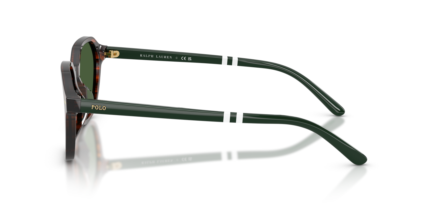 POLO PH4234U 631571 54