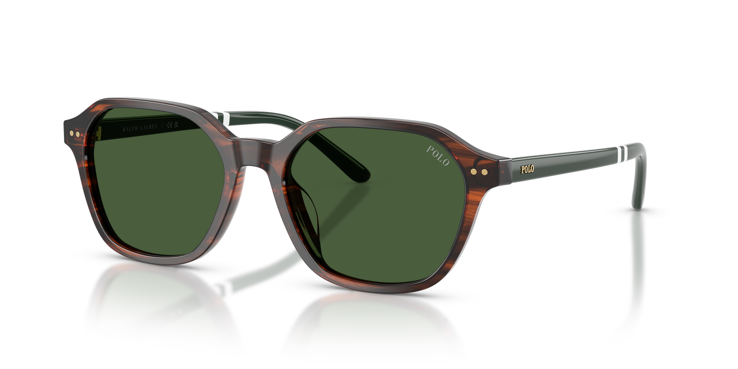 POLO PH4234U 631571 54