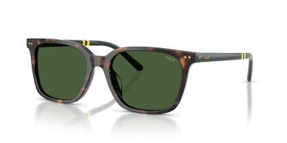 POLO PH4235U 500371 54