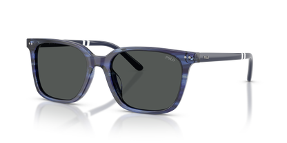 POLO PH4235U 631487 54