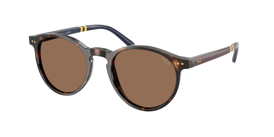 Occhiali da sole polo ph4236 500373 havana round masculino taglia 50mm - Vista principale