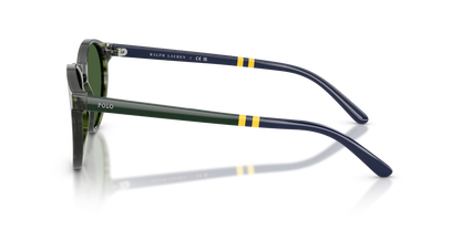 POLO PH4236 631671 50