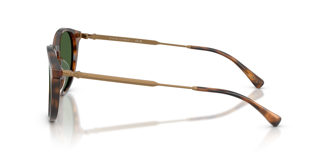 Sunglasses polo ph4239u 500371 rojo pantos masculino size 50mm - Detailed view