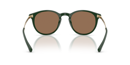 POLO PH4239U 614073 50