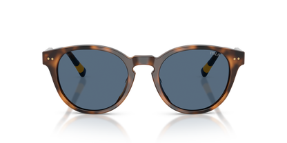 POLO PH4241U 608980 52