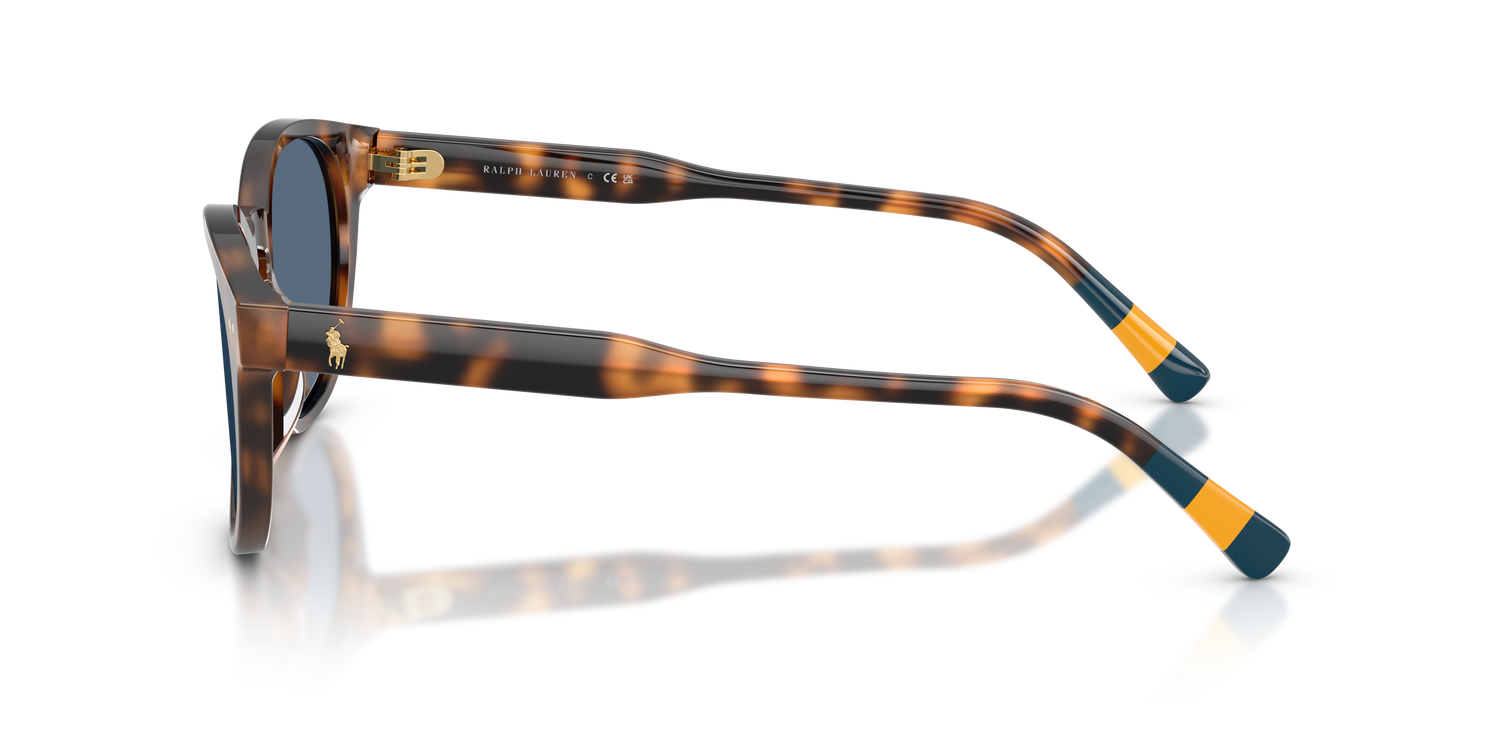 POLO PH4241U 608980 52