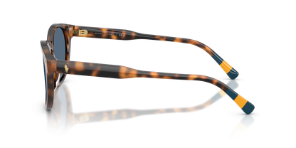 POLO PH4241U 608980 52